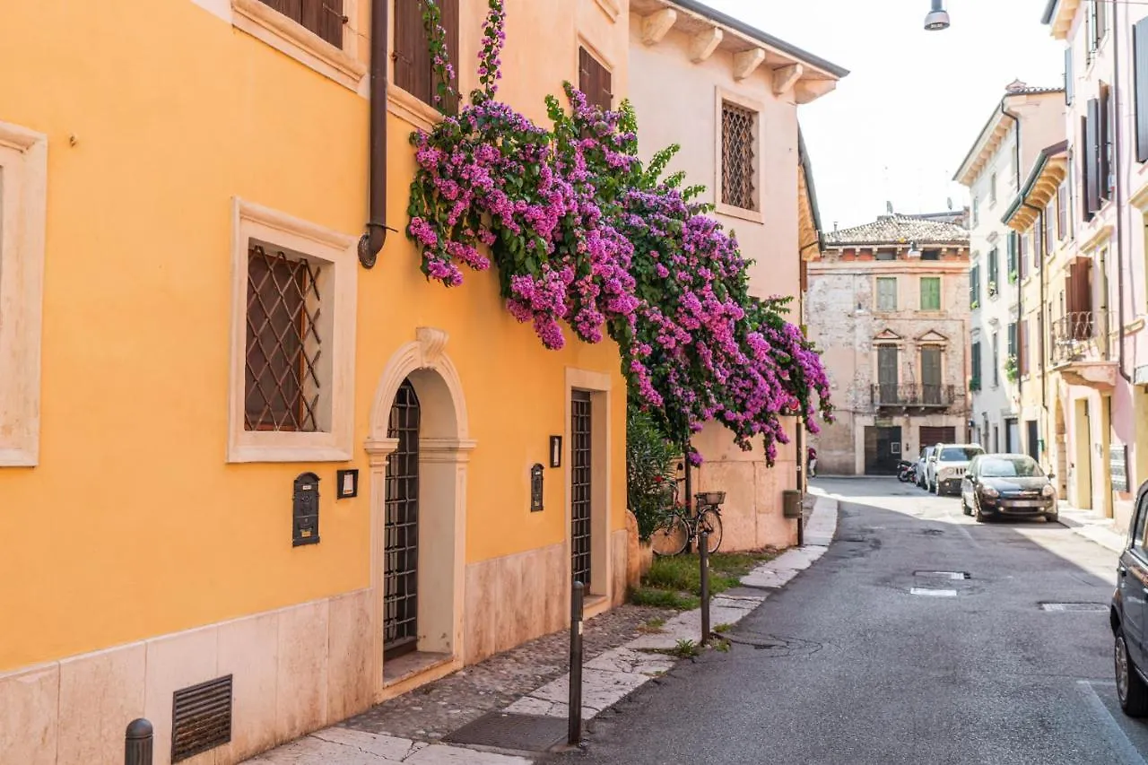 Domus Verona - Residenza Merici